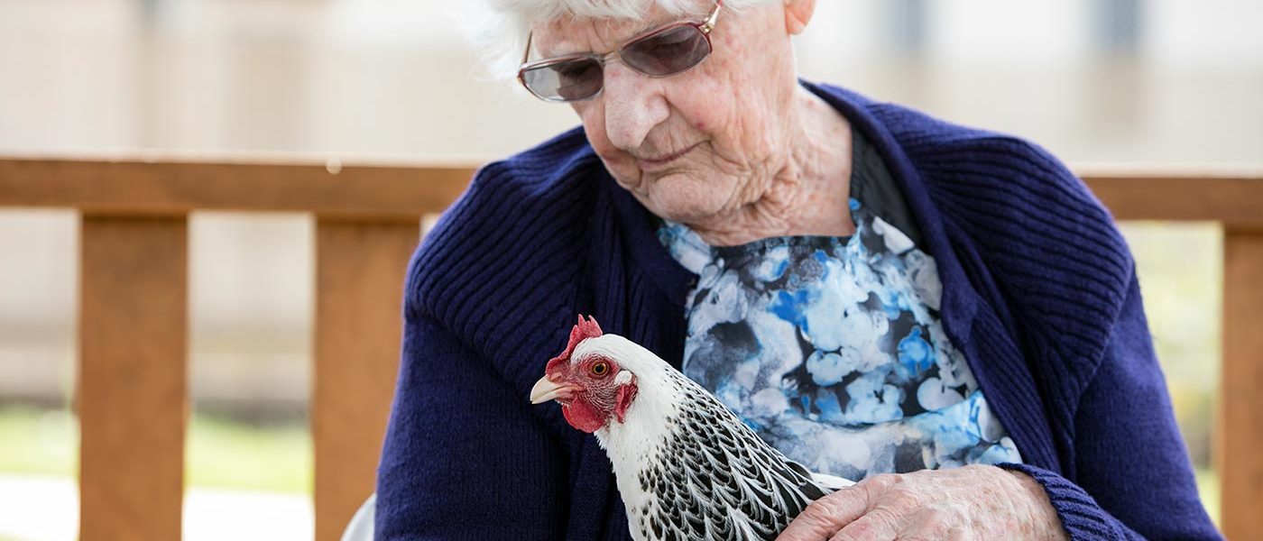 A resident enjoying some bonding with a hen as part of Whiddon's creative ageing program, HenPower.