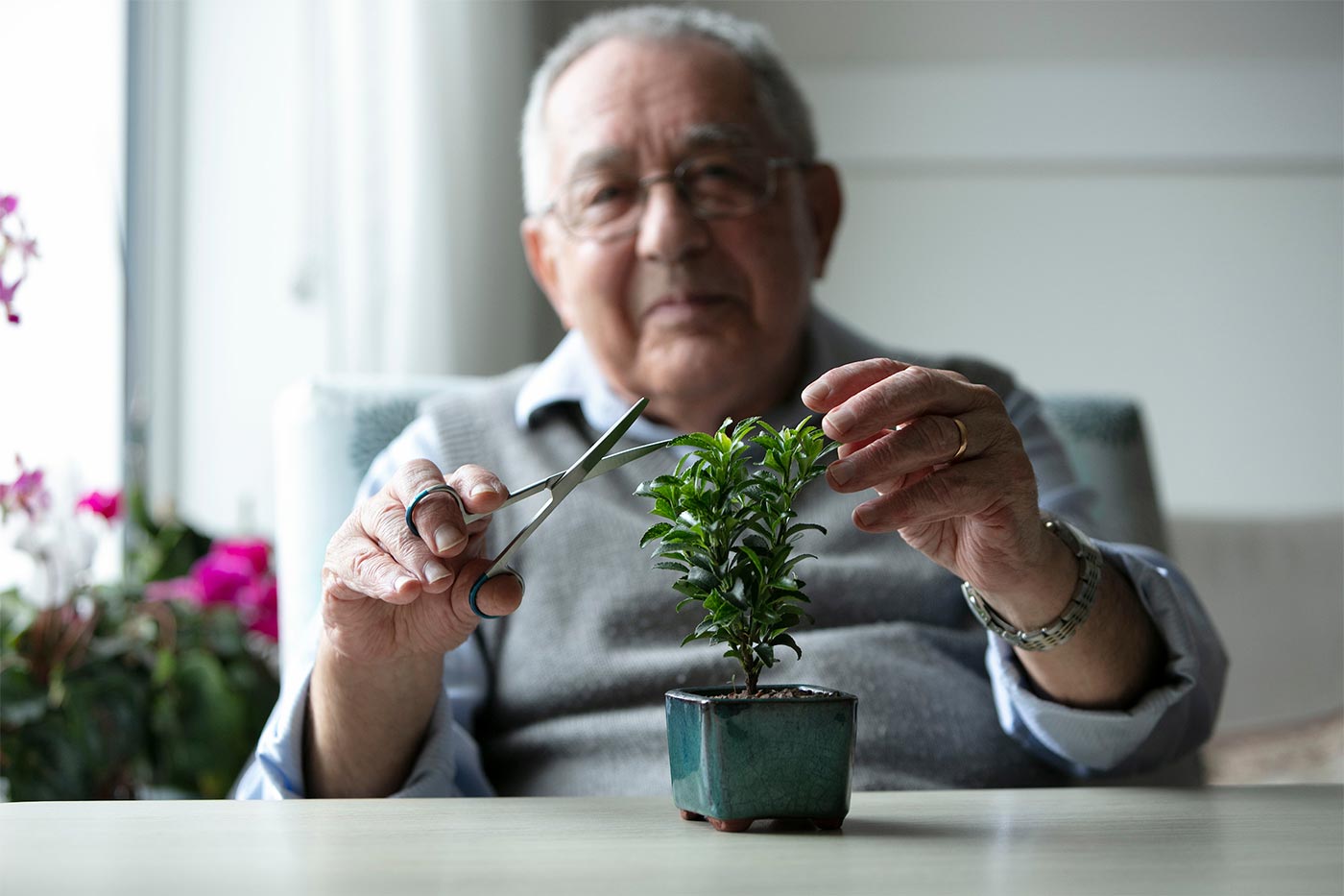 Resident Tony cutting his bonsai tree