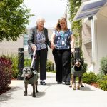 aged care resident walking dog as part of Whiddon Creature Comforts Program