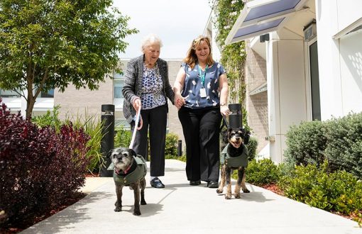 aged care resident walking dog as part of Whiddon Creature Comforts Program