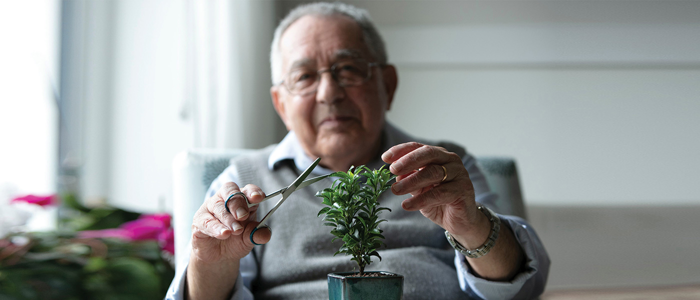 Whiddon resident is looking after indoor plants