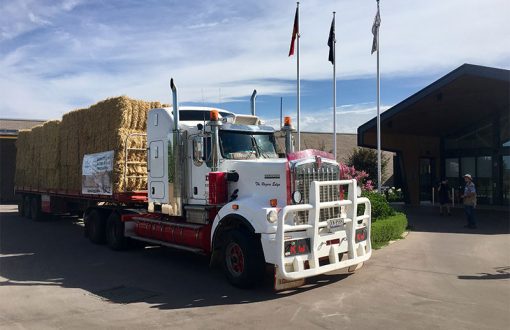 Whiddon Rural Aid Bathurst