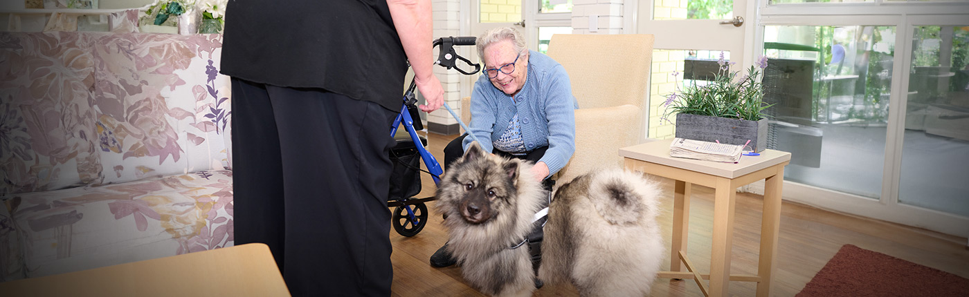 resident patting a fluffy dog