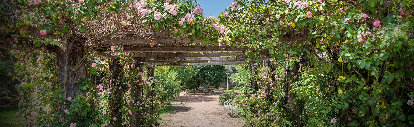 outdoor space at whiddon mudgee