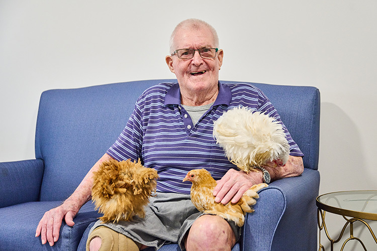 whiddon resident chicken lap