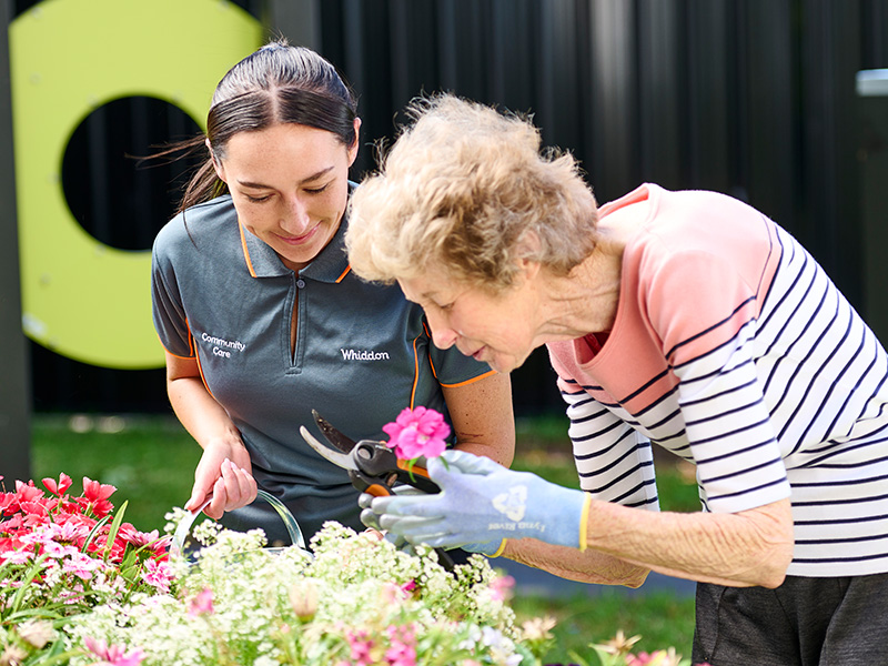 Volunteers gardening with Whiddon Residents 