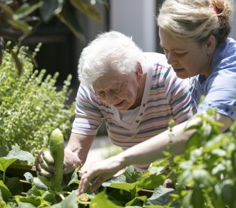A resident and carer picking vegetables from the lush garden at a Whiddon home.