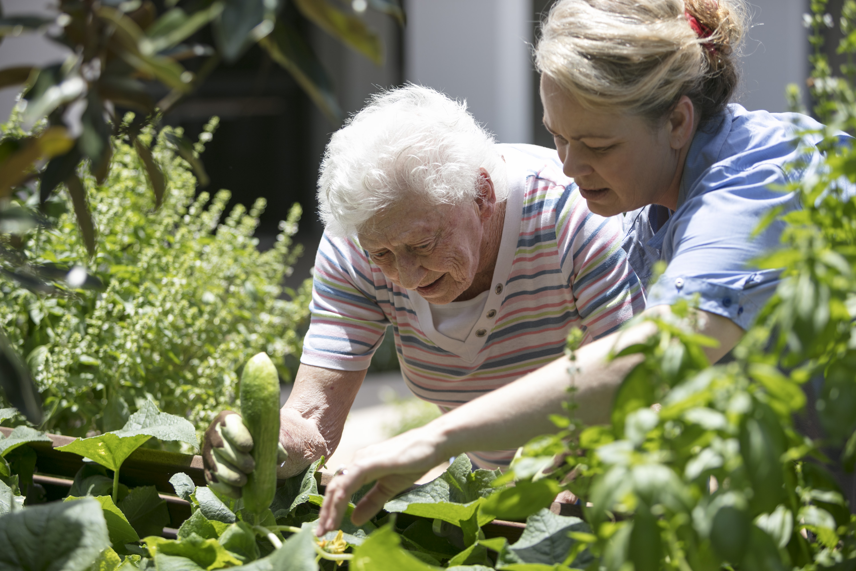 Gardening Your Way to Better Health: A Guide for Seniors ...