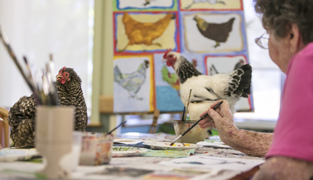 Creative Ageing program at Whiddon