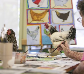 Creative Ageing program at Whiddon