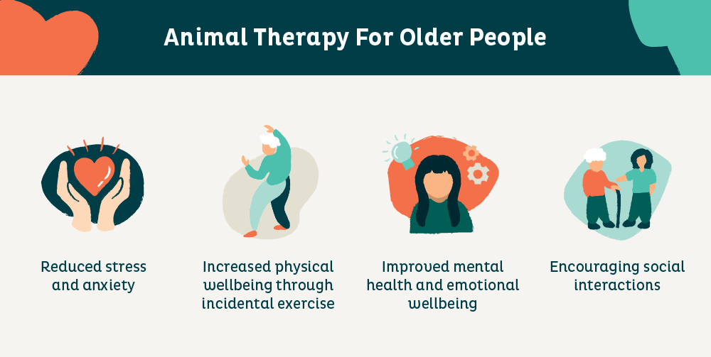 infographic showing benefits of animal therapy